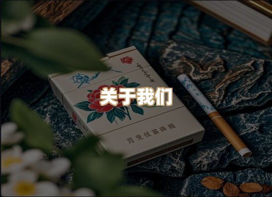 关于至京园香烟网